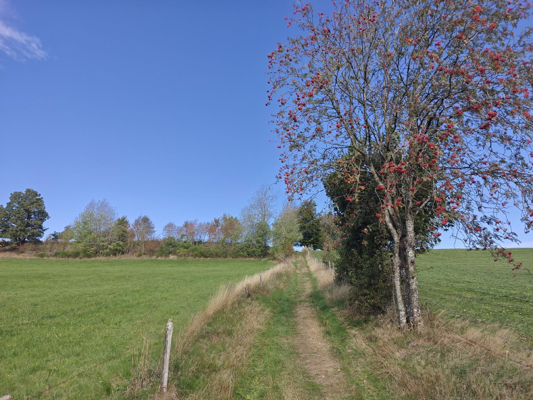 Bijna de Auvergne