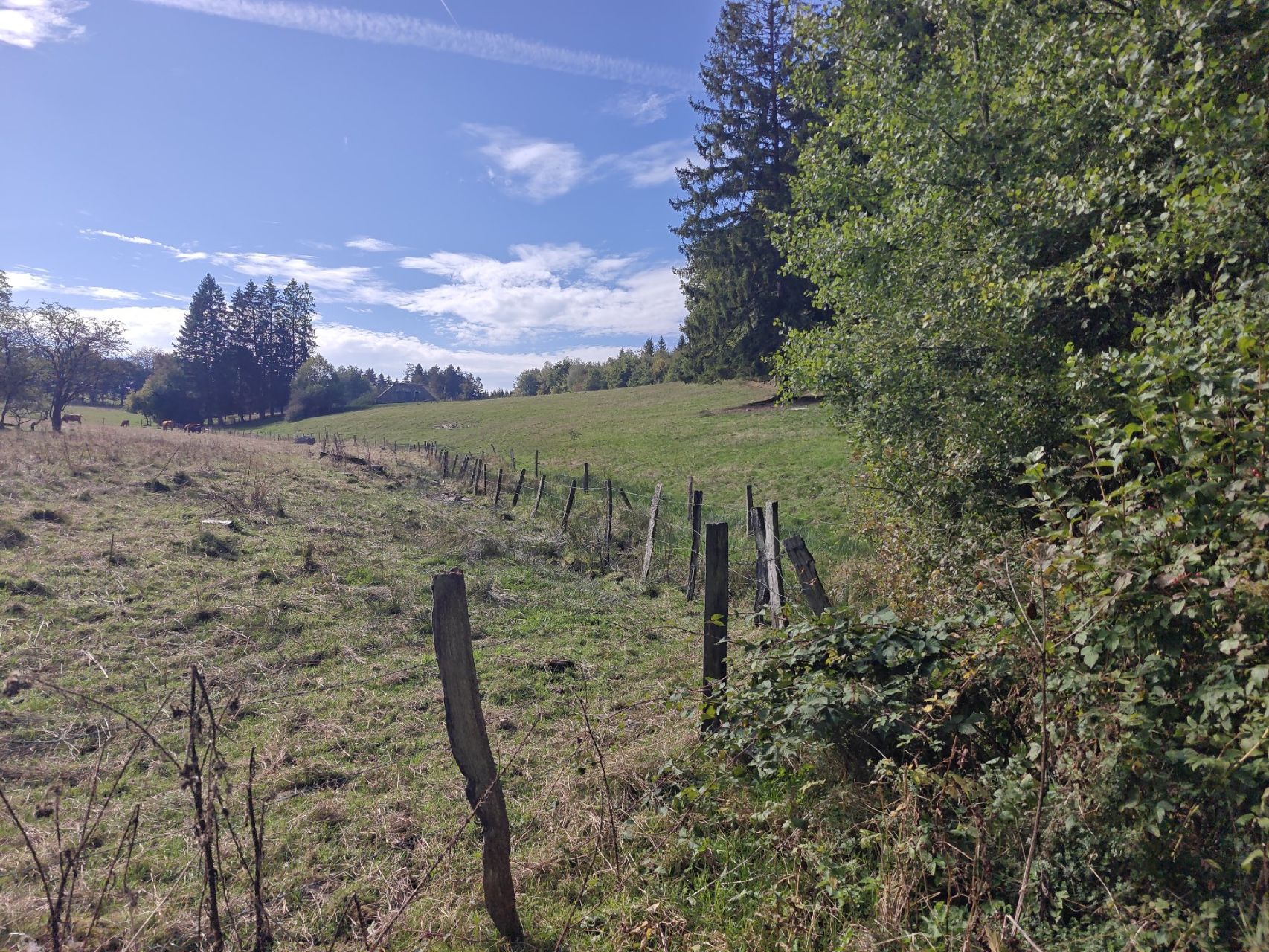 Een mooi valleitje