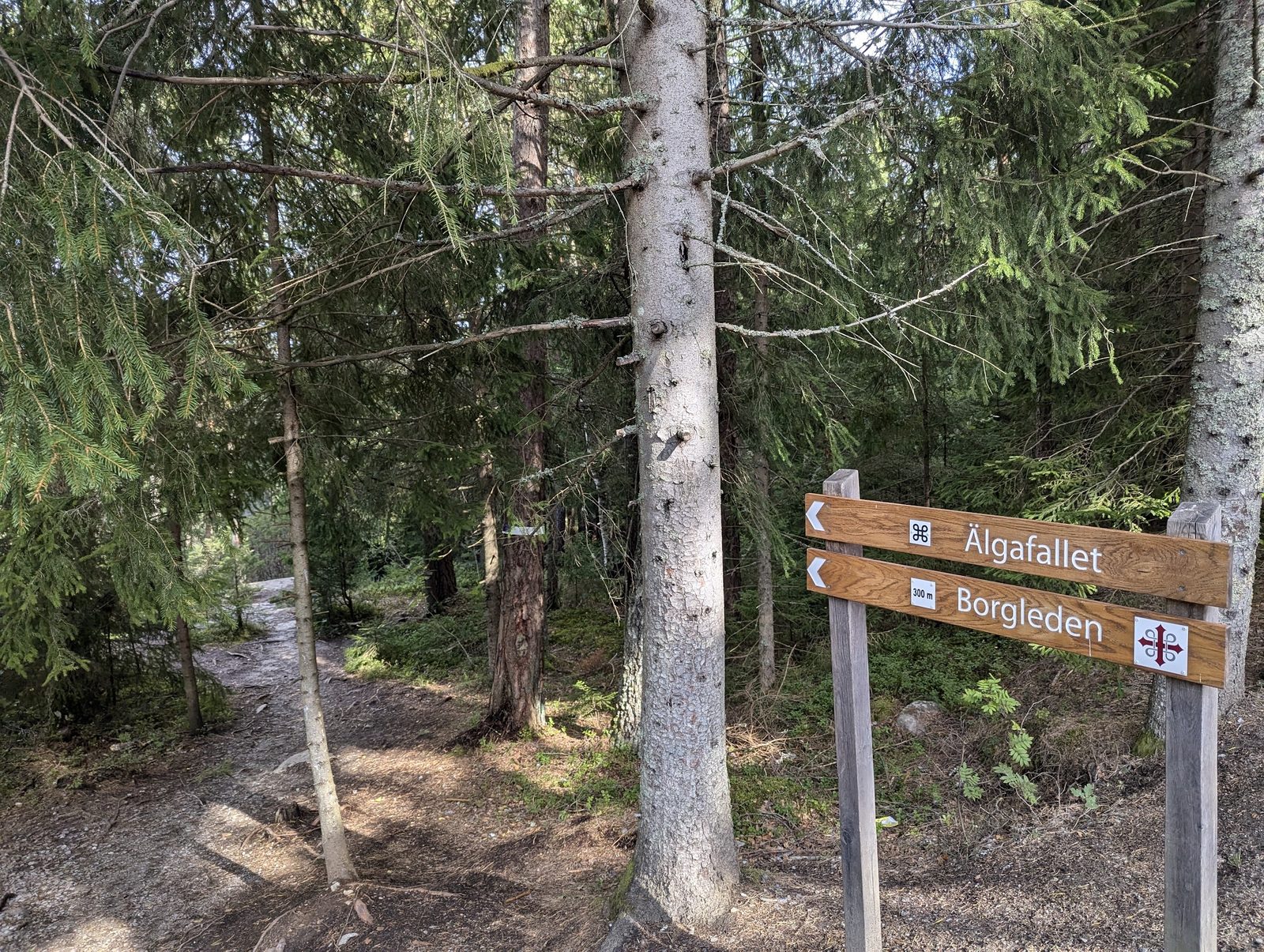 Borgleden