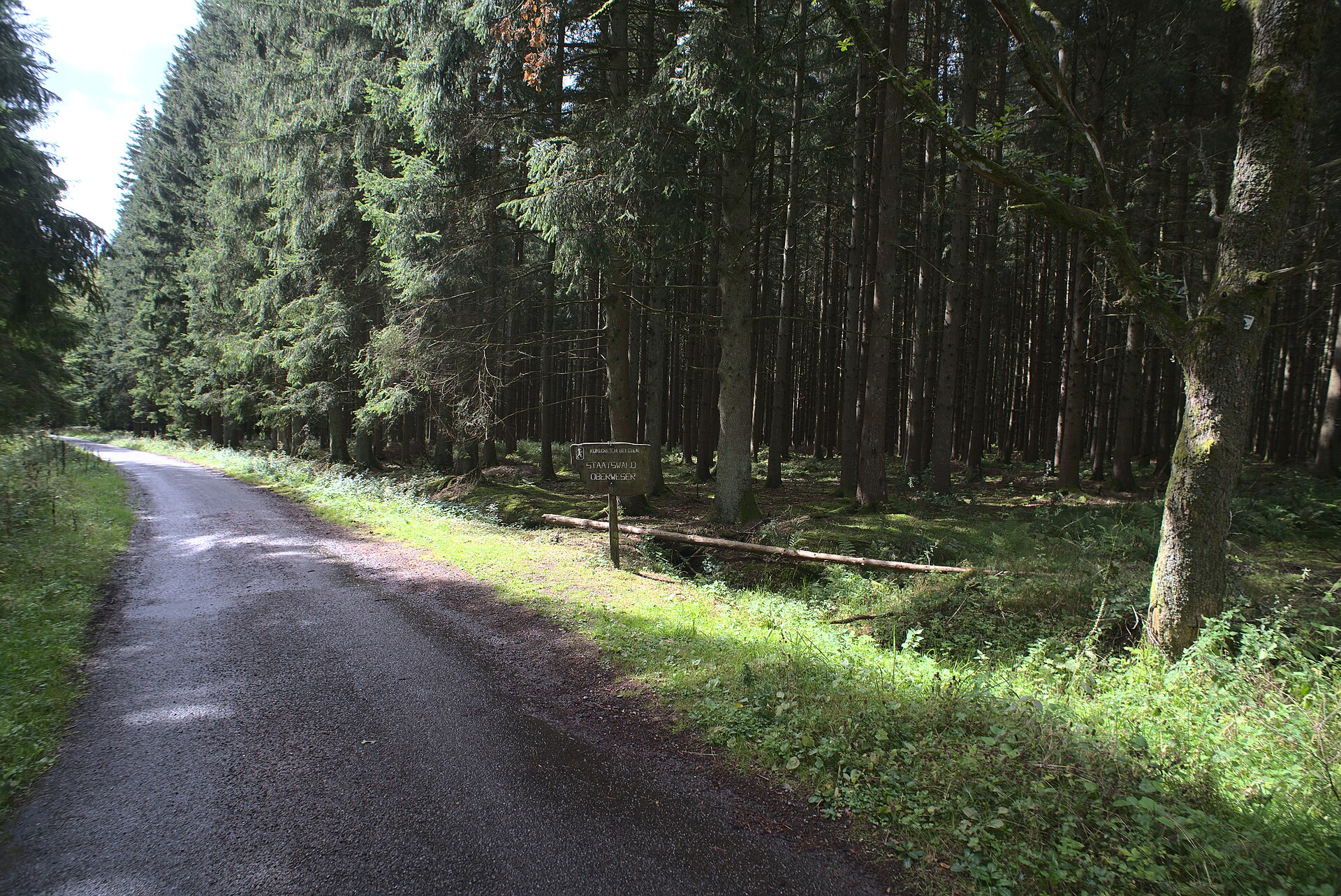 Eifelsteig